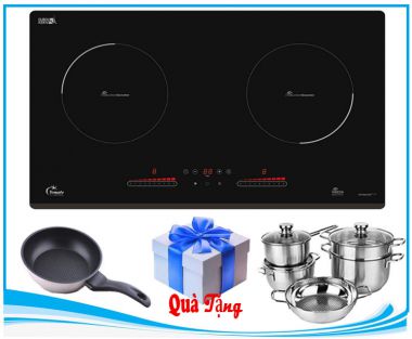 Bếp Từ Tomate GH DUO-S2I Plus