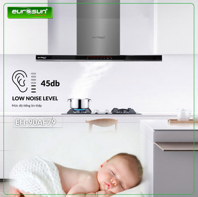 M&aacute;y H&uacute;t M&ugrave;i Eurosun EH-90AF79Pro